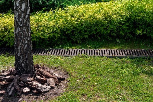 Cost of Yard Water Redirection in Thousand Oaks